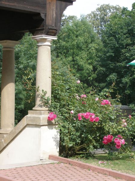 Кликни за целосна големина на сликата