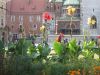 Filename=75.jpg
Filesize=600KB
Dimensions=800x600
Date added=20.Aug 2007 75.jpg